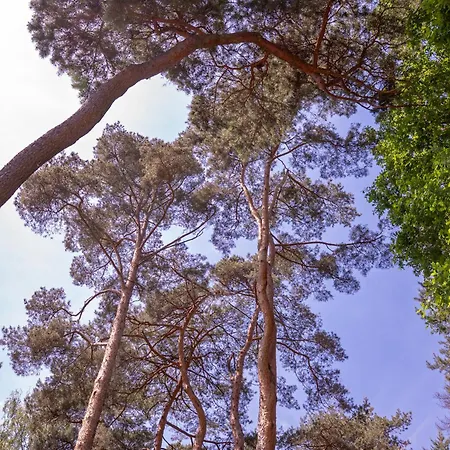 Stately In Warsaw Magdalenka
