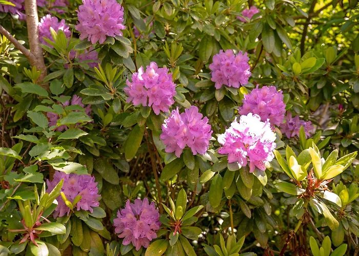 Stately In Warsaw * Magdalenka