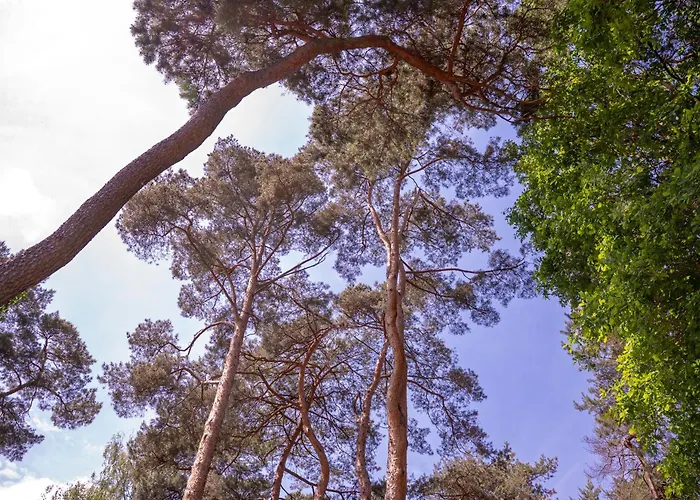 Stately In Warsaw Magdalenka